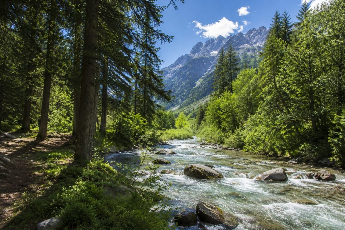 Rivière de montagne en été au cœur d’une forêt alpine avec sommets rocheux et atmosphère fraîche pendant une période de canicule.