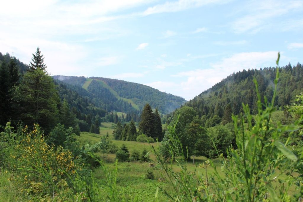La station de la Bresse en été