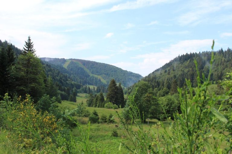 La station de la Bresse Hohneck dans les Vosges, en été