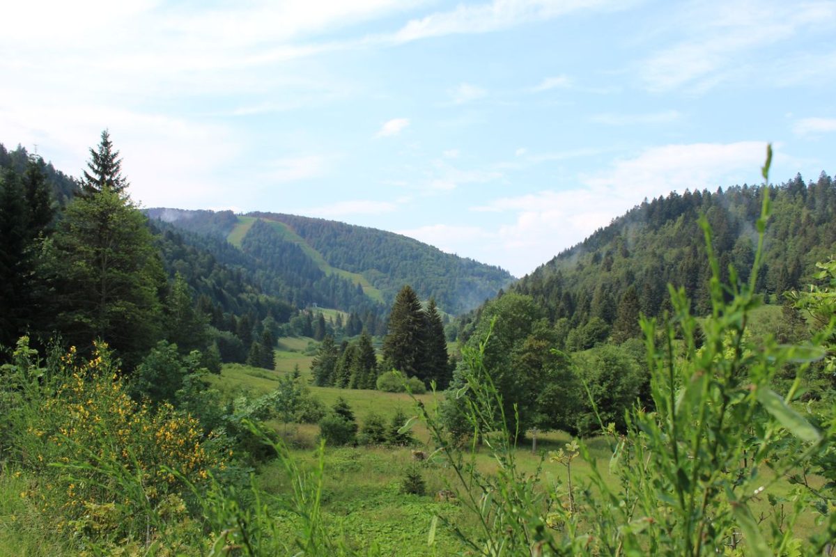 La station de la Bresse Hohneck dans les Vosges, en été