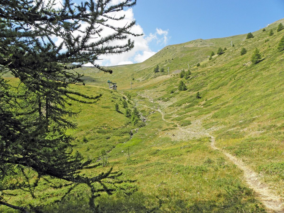 Le Vallon de l'Alpet près de Vars dans les Hautes Alpes