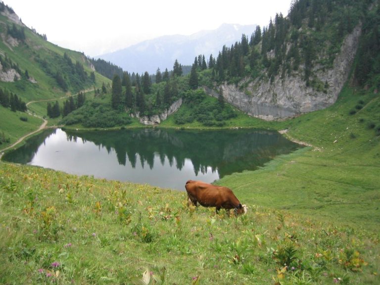 Le lac d'Arvoin en Haute Savoie