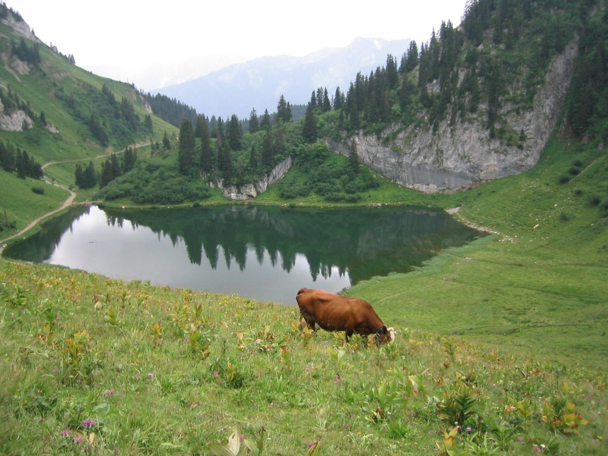 Le lac d'Arvoin en Haute Savoie