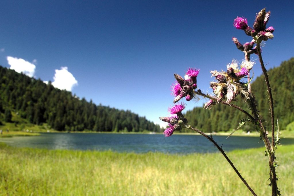 Le lac de Tueda à Meribel