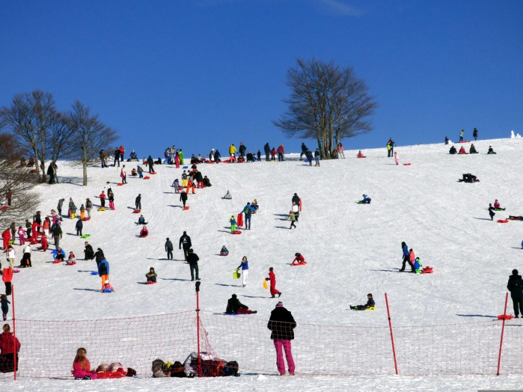 Pratique de la luge dans la station du Markstein (Vosges)