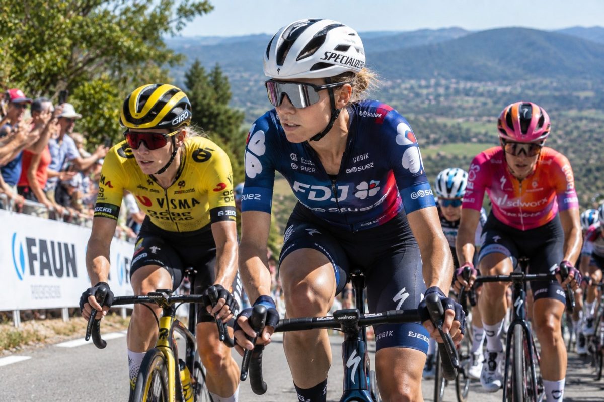 Le peloton de la Vuelta 2026